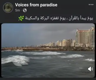 قرآن الصباح - الشيخ عبدالباسط  #viralvideo #viral #videoviral #fyp #قران #قران_كريم #quran #quran_alkarim #عبدالباسط_عبدالصمد 