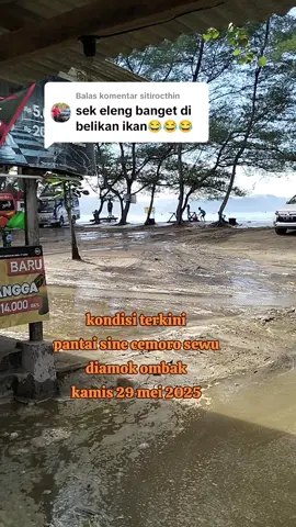 Membalas @sitirocthin#pantaisine #fypシ゚viral #pejuangrakyat #tulungagung 