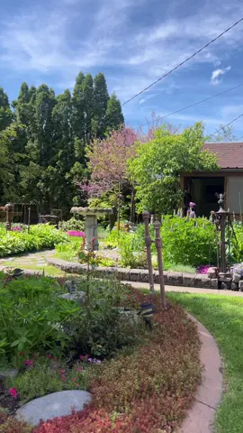 cowgirl in the sun! oh how I missed you Montana #montana #garden #Love 