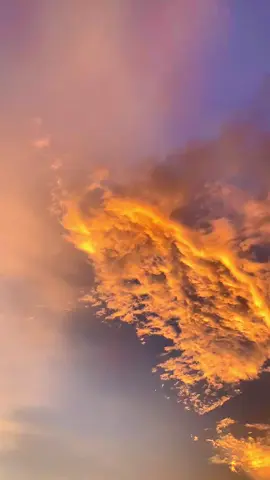 langit sore #langitaesthetic #langit #wannabeyours #fyppppppppppppppppppppppp #fypシ゚ #awan #pemandangan #masukberanda #agz 