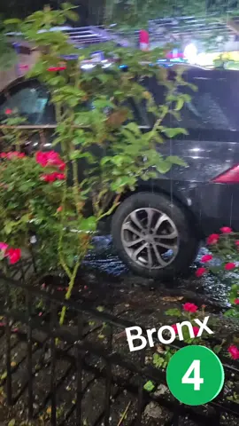 🌂☂️🌂🌧✌️😃✌️😃🌧🌂☂️🎼🎶🎵💚🤍❤️🇲🇽🗽