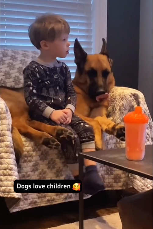 They are each other’s best partners in life.🥰❤️#dog #Love #baby #dogtiktok 