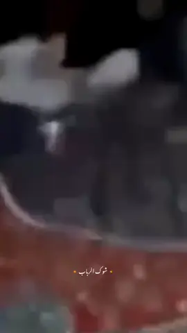 💔💔.... #سيد_فاقد_الموسوي 