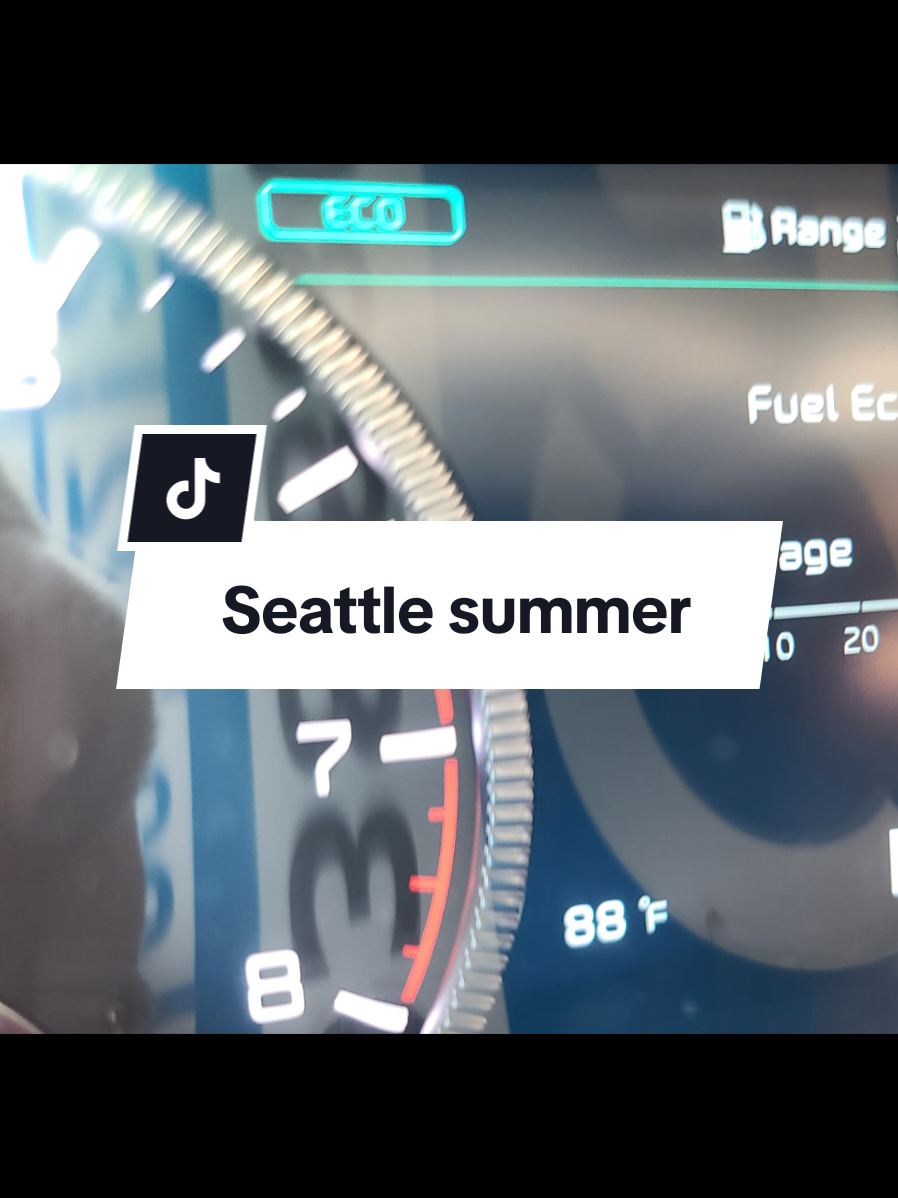 Break out the tank tops. Seattle summer is here for the day. Tomorrow it rains 🌧  #creatorsearchinsights #viral #seattle #seattleweather #seattlesummer #heatwave
