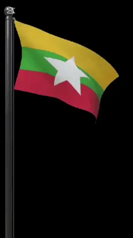 #CapCut မောင်မောင်လွင်@NayMyoKyawSwar (Martinelli JR) 