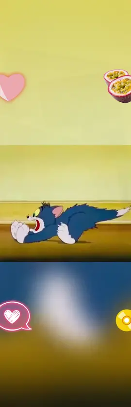 #tomandjerry #tomjerry #jerryandtom #tomandjerryedits #tomandjerry🤣 #tom_and_jerry #tomyjerry #tometjerry #tom and jerry da #tom and jerry