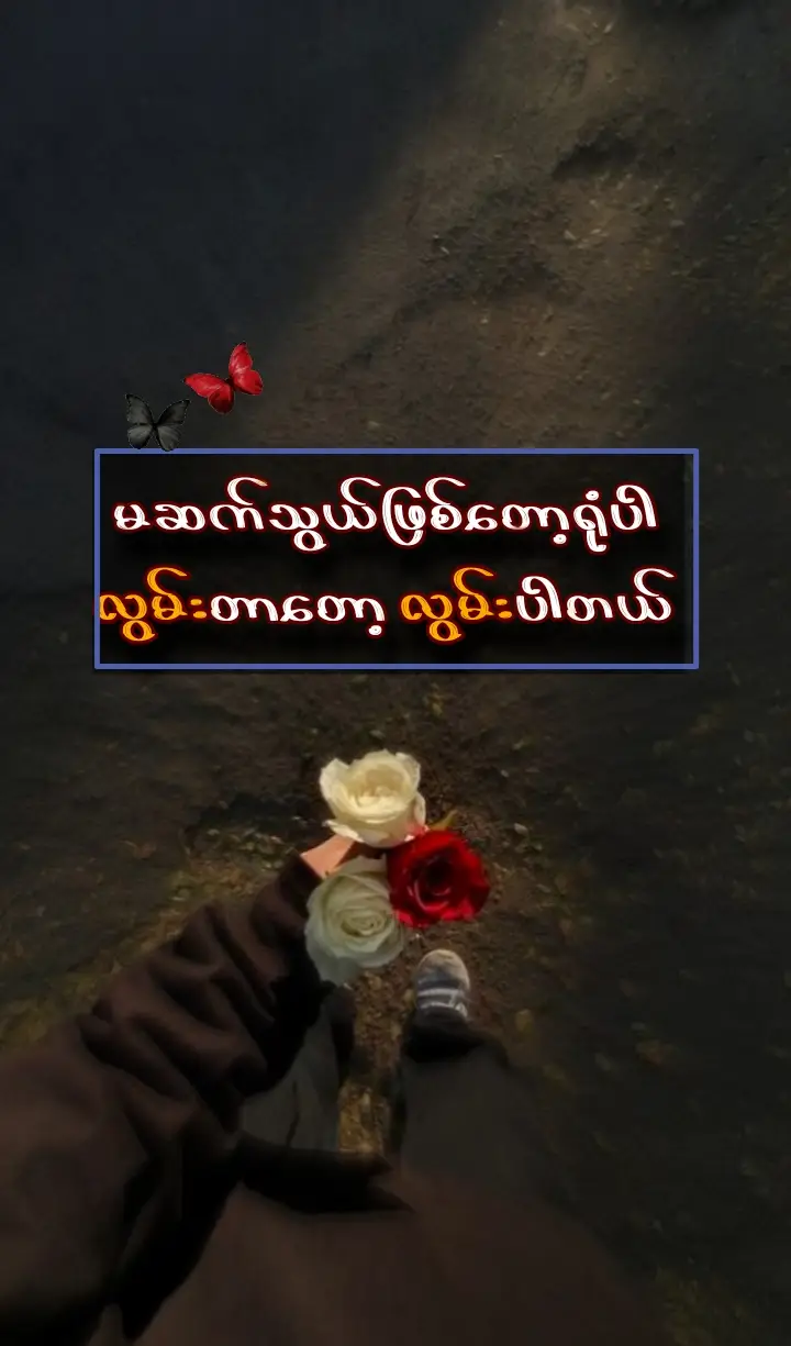 မဆက်သွယ်ဖြစ်တော့ရုံပါ လွမ်းတာတော့ လွမ်းပါတယ် ။ ဒီလောက်နှစ်တွေအကြာကြီးချစ်ခဲ့ရတာပဲလေ... ဘယ်လိုလုပ်လွယ်လွယ်လေး မေ့ပစ်နိုင်မှာလဲ ။ အချိန်တိုင်းမဟုတ်ရင်တောင် တမ်းတမ်းတတကို လွမ်းပါတယ် ။ ဒါပေမယ့် မဆက်သွယ်ဖြစ်တော့ရုံပါနော် ။ မာနတွေထားခဲ့တာတော့ ဘယ်ဟုတ်ပါ့မလဲ...  သူနဲ့ပတ်သက်ရင် ကိုယ့်မှာ မာနဆိုတာလဲ မဲ့ခဲ့သလို ထားဖို့လဲ သတိမရခဲ့တာ ခုမှတော့လဲ တကူးတကကြီးထားမနေတော့ပါဘူး... ဆက်သွယ်ချင်နေမိတဲ့စိတ်ကို မင်းမှ မပြောချင်ပဲလေဆိုတဲ့ စိတ်နဲ့ ဖြေလိုက်တာပါ ။ အလွှတ်ရနေတဲ့ ဖုန်းနံပါတ်လေးကို မဖျက်ပဲထားခဲ့တာ သူနဲ့ဝေးခဲ့တဲ့ ရက်တွေကတည်းကနေ တစ်ခါတစ်လေမှ ဘာပဲဖြစ်ဖြစ်ဆိုတဲ့စိတ်နဲ့ သူ့အသံလေးကြားချင်ရုံတစ်ခုတည်းနဲ့ ရူးမိုက်ချင်မိတဲ့စိတ်တွေ ဖြစ်မိတယ် ပြီးရင် ကိုယ်ပဲ စဆက်ပြီး ကိုယ်ပဲ ဆက်ငိုနေရမှာလေ ။ ဒီတိုင်းလေးလွမ်းနေတာပဲကောင်းပါတယ် ။ ကမ္ဘာကြီးရဲ့ တစ်ထောင့်တစ်နေရာမှာ သူ အသက်ရှင်နေတာပဲဆိုတဲ့ စိတ်လေးနဲ့ နေနိုင်အောင် နေကြည့်ဖို့ပဲ တွေးပါတယ် ။ ကိုယ်က လွမ်းနေပေမယ့်လဲ သူက မေ့နေပြီးသားအရာတစ်ခုကို အစပြန်ဖော်ပြီး ကိုယ့်ကိုယ်ကိုယ် ထပ်မသတ်ချင်တော့တာလဲ ပါတာပေါ့ ။ ဆက်သွယ်မိနေပြန်ရင်လဲ အလေးမထားတဲ့ အပြောမျိူးတွေ ဘာပြောစရာရှိလို့လဲဆိုတဲ့ စကားတွေအောက်မှာ ကိုယ်ပဲ ပြိုလဲနေရမှာ သိတယ် ။ မင်းကို သိပ်ကိုလွမ်းတာပေါ့... ဒါပေမယ့် ဘယ်လိုနည်းနဲ့ဖြစ်ဖြစ် မဆက်သွယ်မိအောင် အတတ်နိုင်ဆုံးထိန်းပါတယ်။