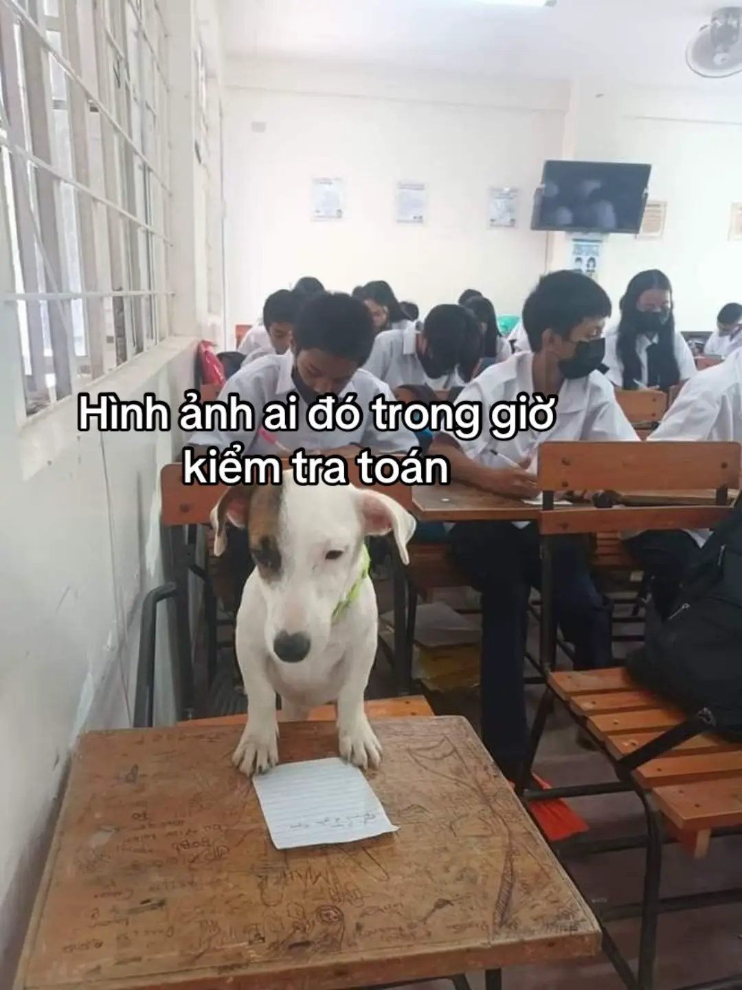 #xhuongtiktok #xhuongg #xhuongtiktok #xhuongg #caption #xhuongg #xhuongtiktok #xhuongg #xhuongtiktok #xhtiktok #xhuongtiktok 