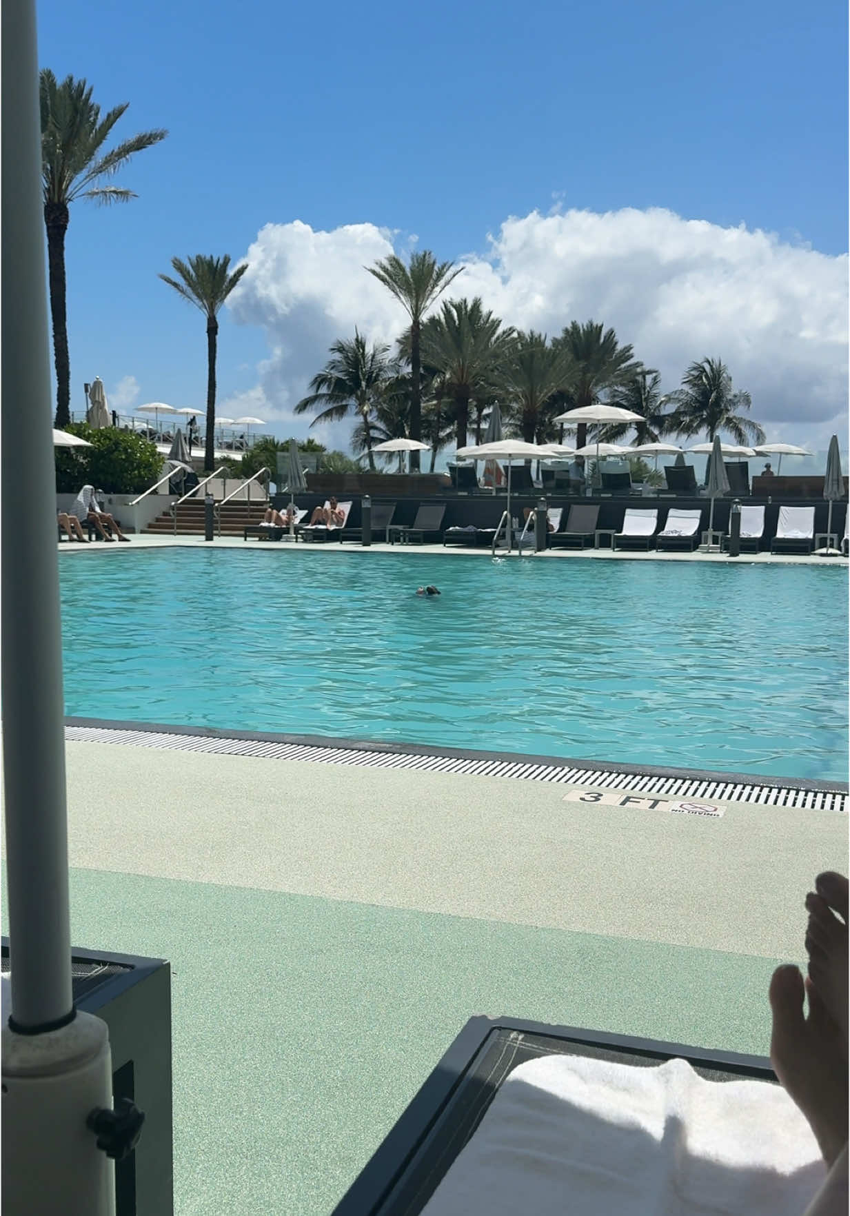 Always a good time In Miami .                   ##miami##weekendtrip##vacation