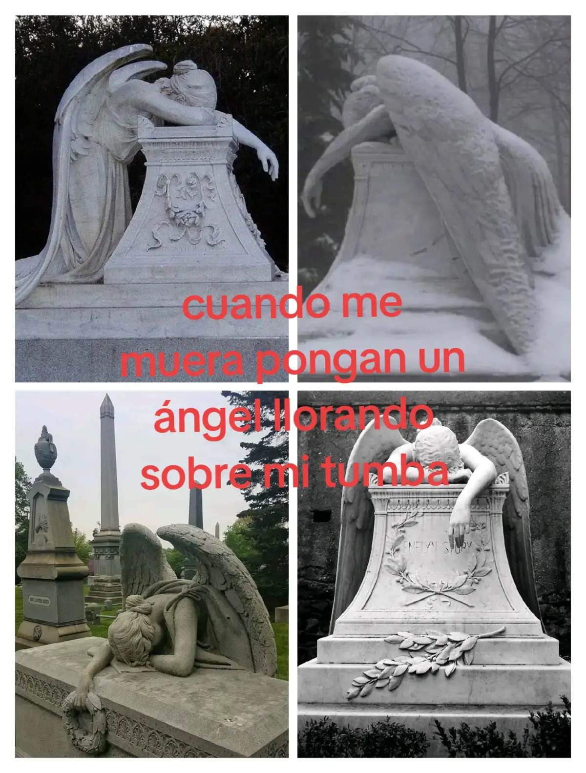 #muerte #sobre #tumba #llorando #angel #enpartiiiiiiiiiiiiiiiiiiiiiiiiiiiiii #enpartiiiiiiiiiiiiiiiiiiiiiiiiiiiiii #pincjetiktokponmeenparati #fyppppppppppppppppppppppp #fyp #contenido porfavor....