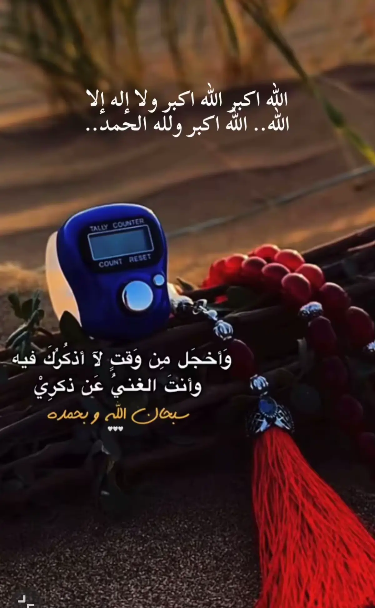 #كبروا_ليبلغ_تكبيركم_عنان_السماء 