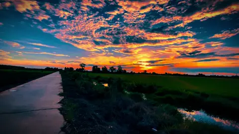 Sau này em cưới ai rồi bỏ anh bơ vơ #chill #binhyen #tamtrang #xuhuong #63tiengiang #mientay #lofi #hoanghon 