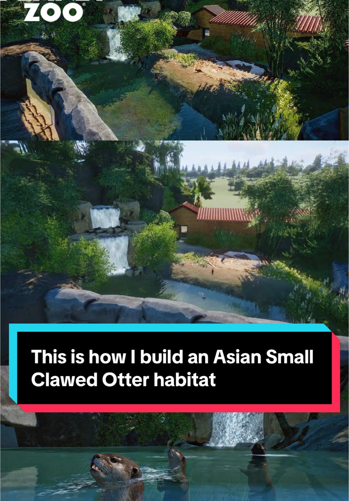 This is how I build an Asian Small Clawed Otter habitat  #planetzoo #planetzoogame #happyworldotterday #fyp 