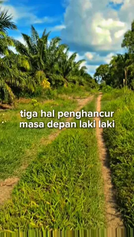 pesan ketua jangan terjerumus di tiga hal tersebut.👌😊 #cinematik #petanisawit #sawitkalimantan🌴🌴🇮🇩 #kulisawit #petanimuda #fypシ゚ 
