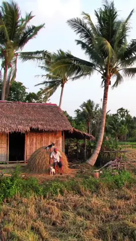 #binhyen #kíuctuoitho #kíucdep #bìnhyênnơiđâu #kyniemxua 