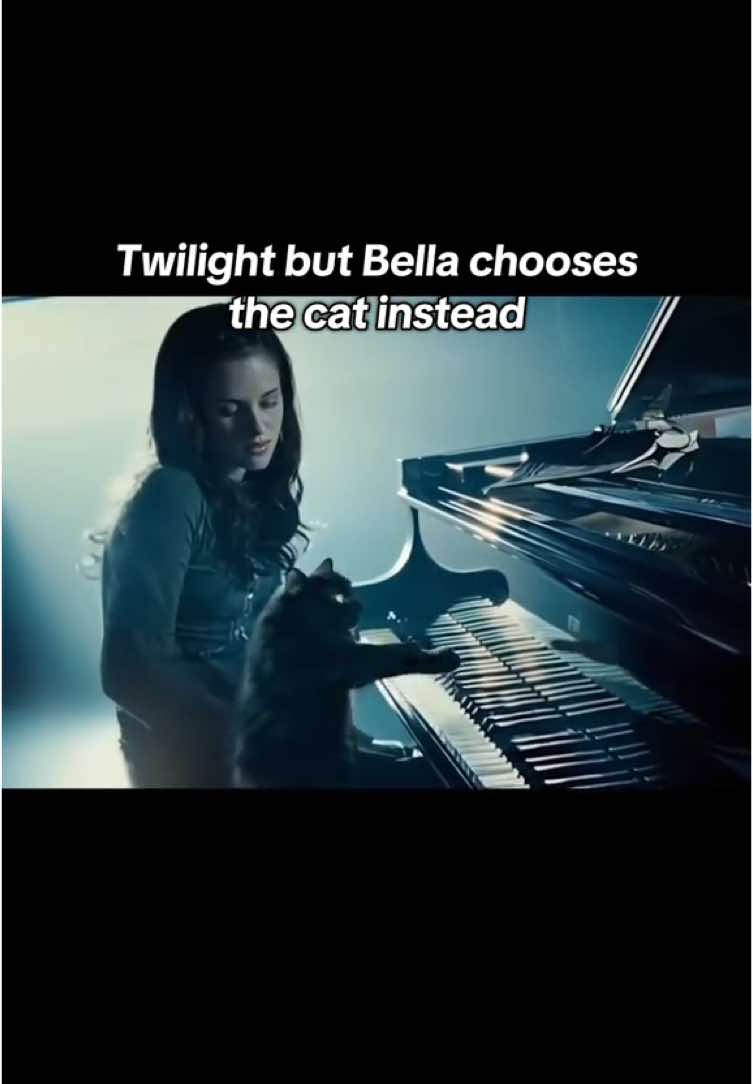🐈‍⬛  #bellaswan #cat yt: owlkitty #edwardcullen #pet #victoriatwilight #twilight #twilightsaga#twilighttiktok#BookTok#fyp#foryou#viral#funny#aesthetic#hearingdamagethomyorke#rachellelevefre  