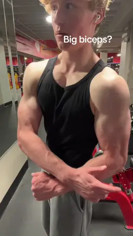 #blonde #biceps #fyp #viral #gym #blowthisup #aesthetic #davidlaid 