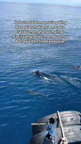 #pelautpunyacerita#kesepian#ikanlumbalumba#kreatorpelaut#viralvideo#masukberanda#popeye#lewatberanda#fyppppppppppppppppppppppp#sailormoon 