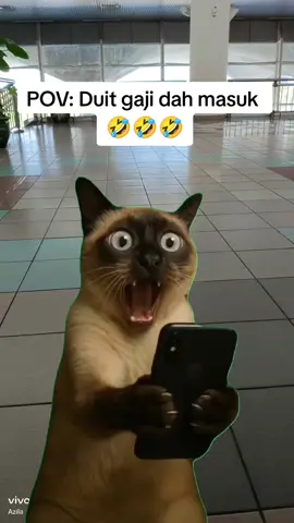 #Meme #MemeCut #CapCut 