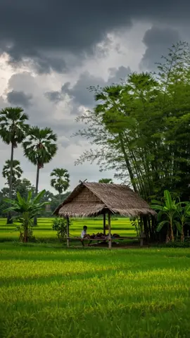 #ស្រុកស្រែ🖼️🌾🌞🌔❤️ #ទេសភាពស្រុកស្រែ🌄🏜️🌱🌼🌾🐟 #នឹកស្រុកកំណេីត🌾🥰🥺 @🌾ស្រុកស្រែ🌾 @🌾ស្រុកស្រែ🌾 @🌾ស្រុកស្រែ🌾 