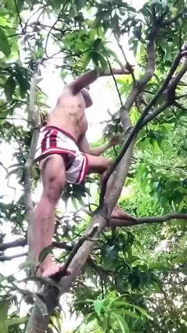 Ảnh hái quả gì vậy bay. T là t k thấy quả gì😩😩😩
