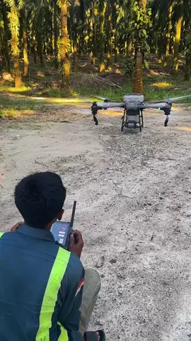 Cinematic plantations  #kebunsawit #dronedji 