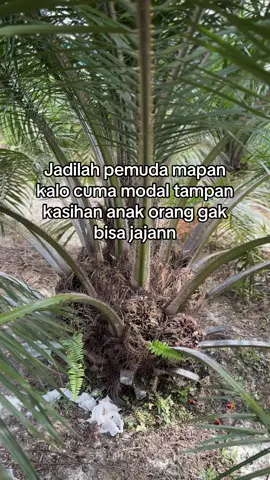 🤪#petanimuda #sawitontiktok #fyp 