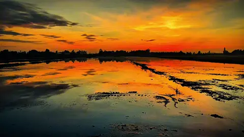 “Cuộc sống mà…#xuhuong #chill #mientay #bìnhyên #tamtrang #canhdep #mientayquetoi #63tiengiang 