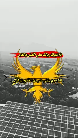 #مشاهدات 