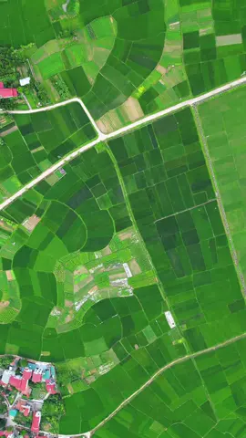 Đẹp nhỉ #mini3pro #djimini3 #dji #xuhuong #viraltiktok #ilovetiktok 