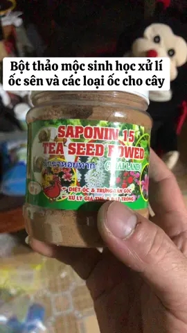Bột thảo mộc sinh học xử lí ốc sên và các loại ốc cho cây#xuhuong #caymaivang #maivangtoanquoc #maivangmienbac #maivangbinhdinh #maivangmientay #caymai #maivangmientay71 #maivangbonsai #maivangmiennam #maivangmienbac123 #xuhuongtiktok 