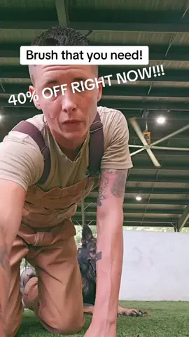 GUYS IT'S 40% RIGHT NOW! Grab you one at the cheapest price I've seen so far! #dogbrush #sale #tiktokshop #dogs #cats #pets 