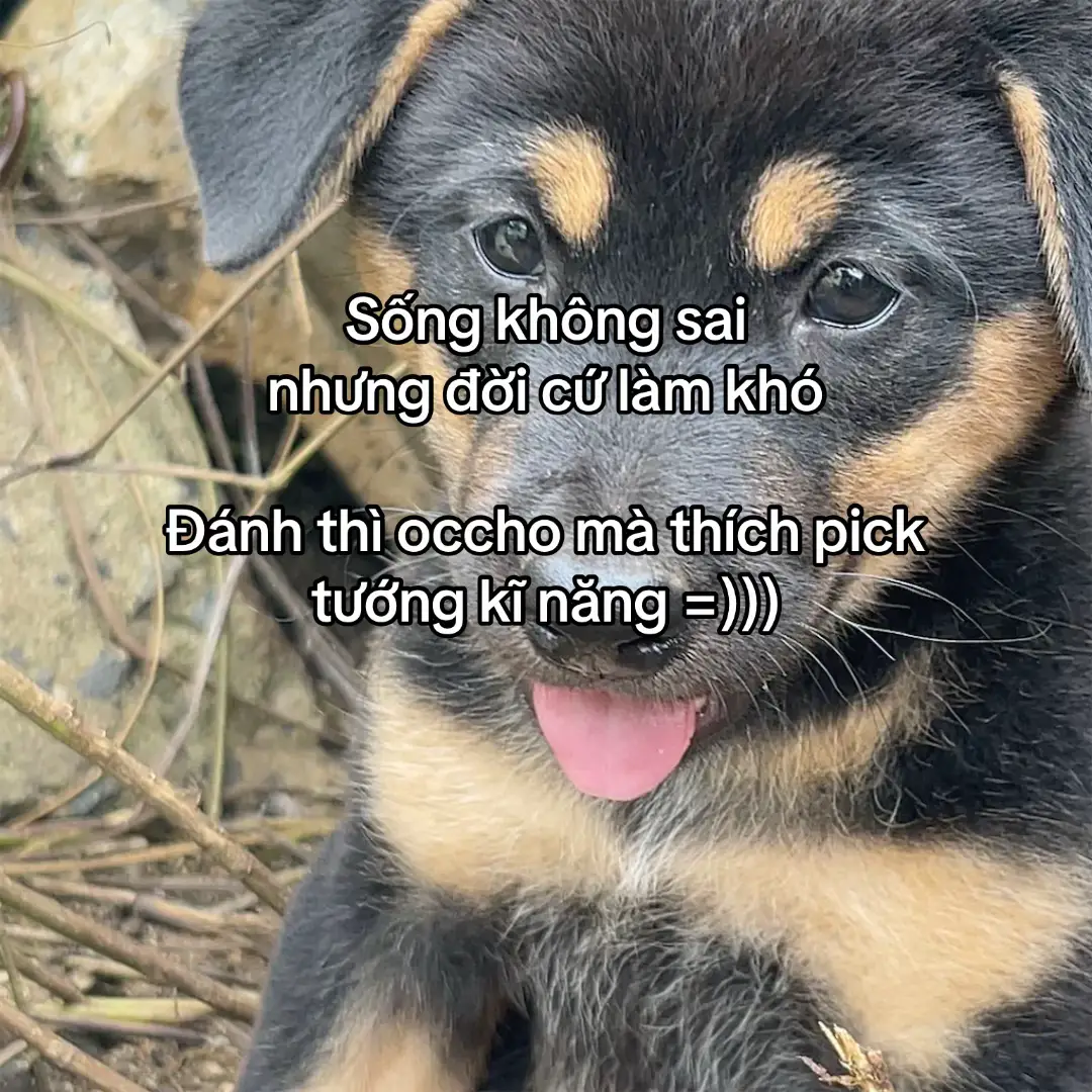 khổ #lienquanmobile #aov #xh #lqmb 