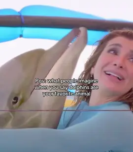 time to look for a new favorite animal. 😒 || #dolphin #meme #funny #favoriteanimal #animal #viral #xyzbca #fyp #foru #foryoupage 