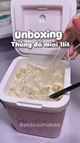 Thùng đá mini nhà Duy Tân cute xỉu #thungda #binhda #xodamini #thungnuoc1l #caitiemtaphoa #unboxing #review 