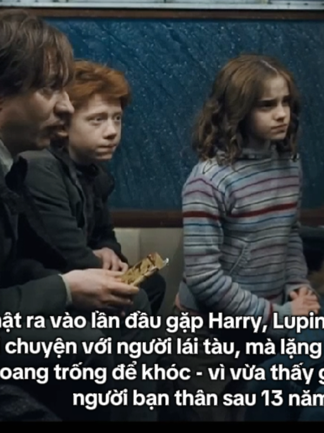 #headcanon  #harrypotter #harrypottertiktok #lupin #fyp 
