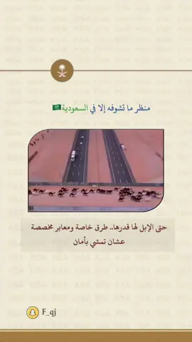 #المملكه_العربيه_السعوديه 