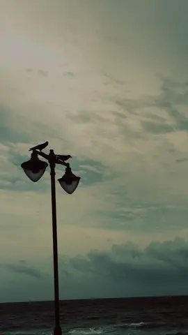 දුරුතු සද වැටුනි අහසින් කඩාගෙන..🥀❤️‍🩹 #CapCut #haridu #memories #clouds #Sky #backroundvideo #viwes @Ꮳʟᴏᴜᴅʏʏʏ ⛈️
