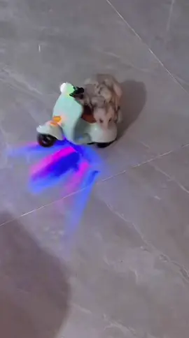#fpyツ 