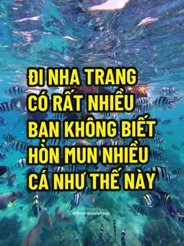Đi hòn mun mọi người nên tham gia tour private nhen #viral #xuhuong #xuhuongtiktok #thinhlesaletour #photography #nhatrang #snorkeling #underwater #honmunnhatrang 