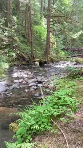 I could shake it off of you and we could be free… #naturetherapy #saychristina #getoutside 