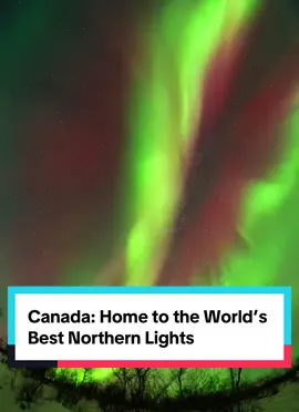 🇨🇦 Canada is home to the world’s most breathtaking Aurora Borealis! From the vast skies of the Yukon to the quiet lakes of Saskatchewan, the Northern Lights dance with colors you’ll never forget. 🌌✨ A magical experience that reminds you how beautiful nature truly is. 📍Bucket list must? 100% ✅ #NorthernLights #AuroraBorealis #CanadaMagic #TravelGoals #NatureLovers #saskatchewan #saskatoon🇨🇦🇨🇦🇨🇦🇨🇦🇨🇦 #canada🇨🇦 #ParadiseOnEarth #ValleyOfHeaven 