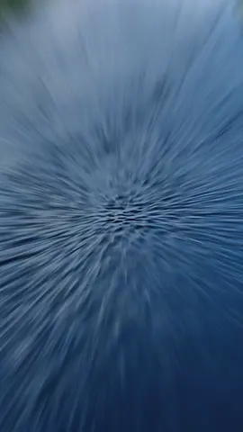 #foryoupag #viral #fyp #