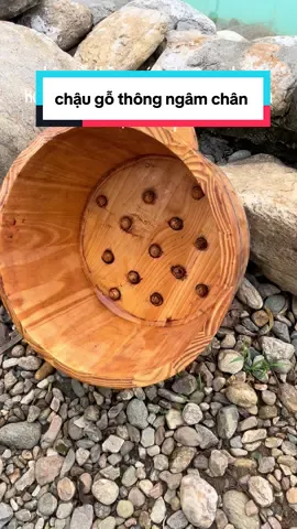# Shop Chậu Ngâm Chân Gỗ Thông Nhập Khẩu Có Hạt Massage, Chậu Gỗ Giữ Nhiệt Tốt, Hàng Loại 1 Cao Cấp, Thùng Gô Ngâm Chân, Ngâm Tay, Làm Nail, Bồn Ngâm Chân, Thau Ngâm Chân#maivy #xuhuongtiktok #viptiktok 