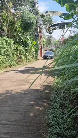 HONDA CIVIC FD1 MT 2007 CIAMIX #erkamotors #jualbelimobilsemarang #jualbelimobilbekasjateng #jualbelimobilbekasindonesia #civicfd #hondacivicfd 