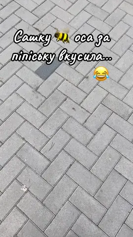 #приколыдослёз😂 #мемы🤔 #avto🚘life #юмор😂 #ржач #tictok🎬 #video📽️ #comedy #CreatorSearchInsights #funny @tictok_haha 