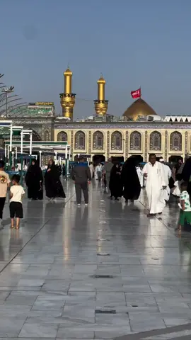 صباحكم حسيني عباسي  #اللهم_أرزقني_شفاعة_الحسين_يوم_الورود💫🤍 