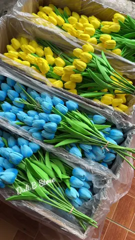 Cận cảnh chất lượng #tulip nhà em đây ạ hàng chuẩn xịn thế này nhìn chỉ có mê thôi ạ 😍😍🥰#tulip #fypシ゚ #xuhuong #hoatulip #tulipanes🌷 #phukienhoa 
