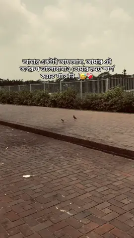 আমার একটাই আফসোস, আমার এই অপরুপ ভালোবাসাও তোমার হৃদয় স্পর্শ করতে পারে নি..!😅❤️‍🩹 #foryou  #the_spydoo 