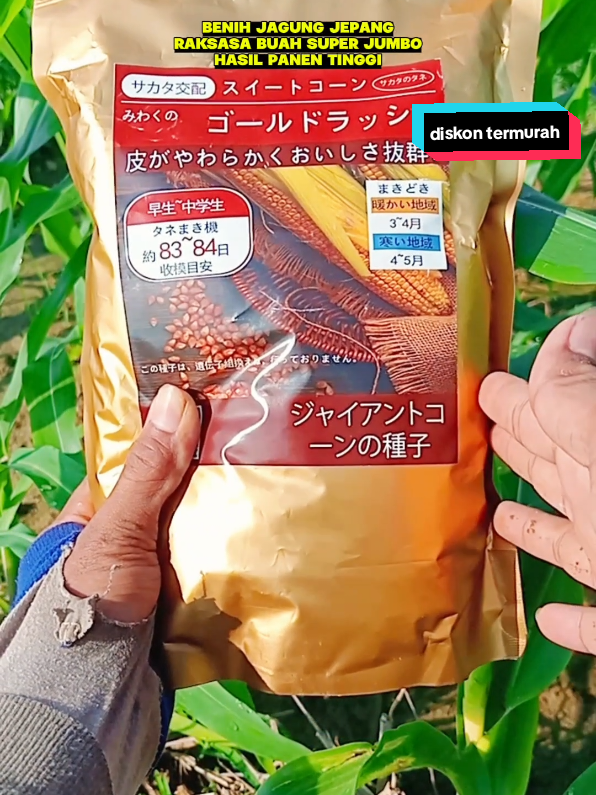 Benih jagung jepang raksasa super unggul,buah super jumbo #racuntiktok #diskon #pejuangrupiah #jagungjepangraksasa #benihjagung #viral #fyp #fypシ゚ 